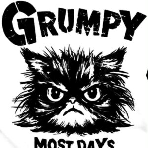 Grumpy Kitty